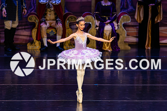 Sleeping Beauty308