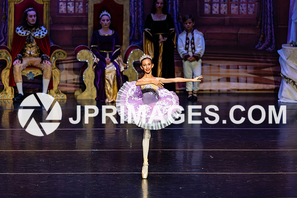 Sleeping Beauty1423