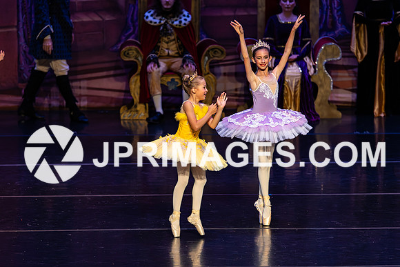 Sleeping Beauty357