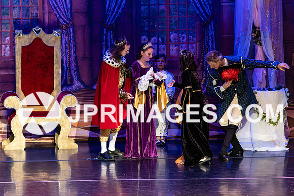 Sleeping Beauty196