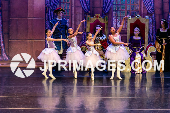 Sleeping Beauty1513