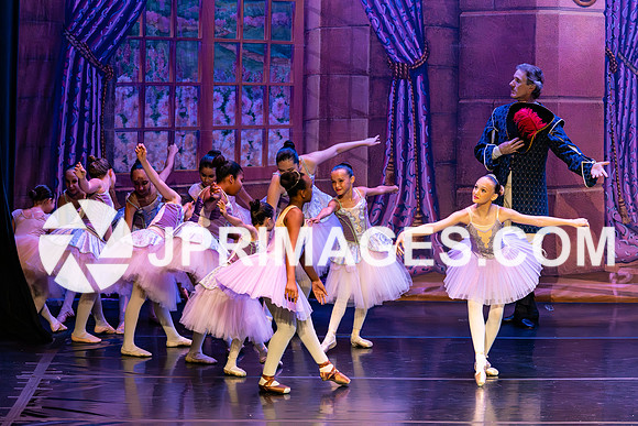 Sleeping Beauty243