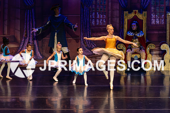 Sleeping Beauty176