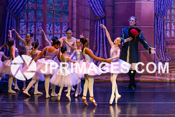 Sleeping Beauty244