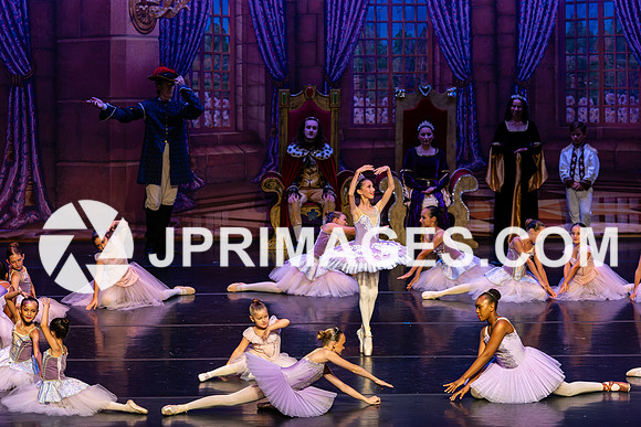 Sleeping Beauty288