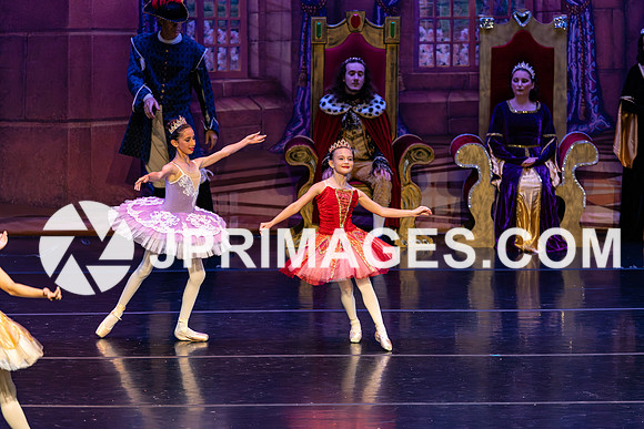 Sleeping Beauty342