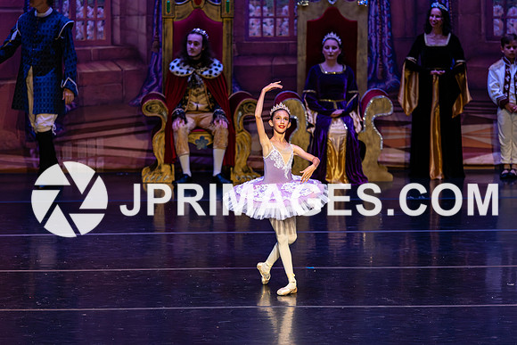 Sleeping Beauty349