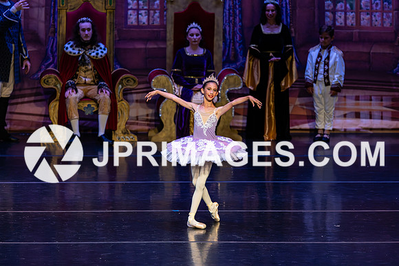Sleeping Beauty499