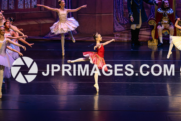 Sleeping Beauty393