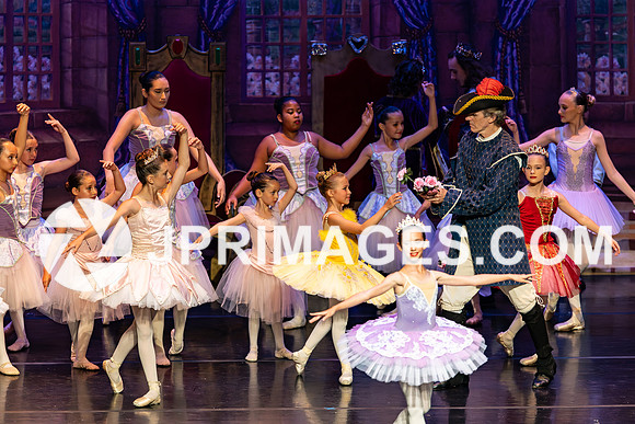 Sleeping Beauty632