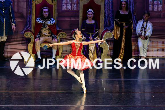 Sleeping Beauty1321