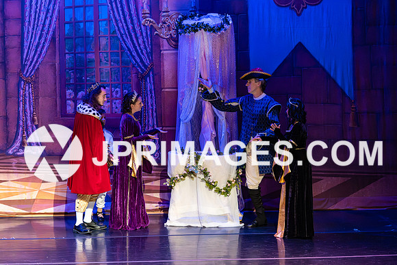 Sleeping Beauty217