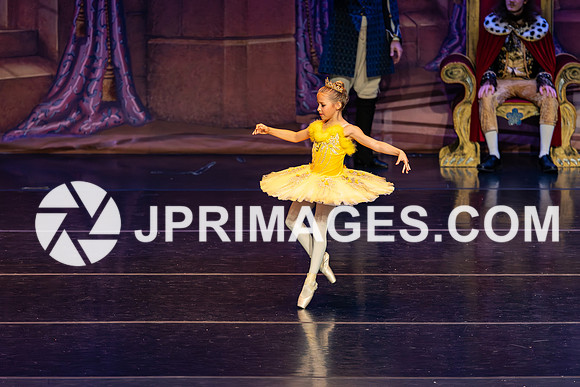 Sleeping Beauty1257