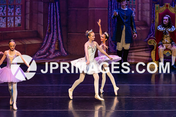 Sleeping Beauty311