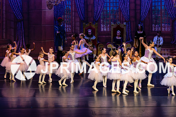 Sleeping Beauty263