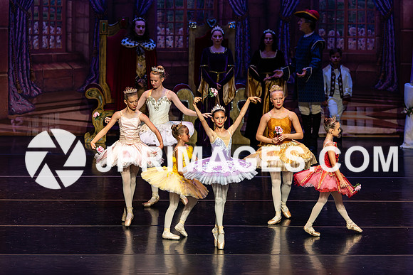 Sleeping Beauty716