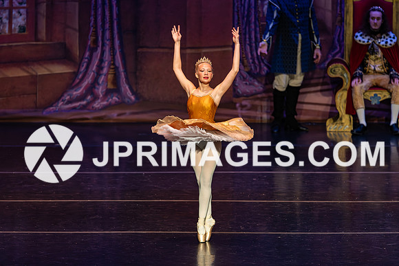 Sleeping Beauty1201