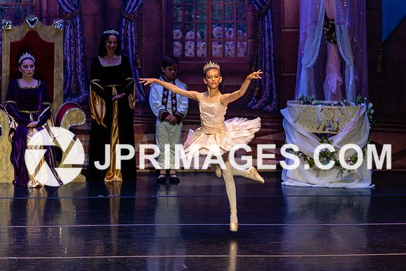 Sleeping Beauty1227