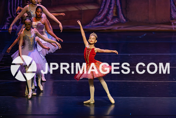 Sleeping Beauty495