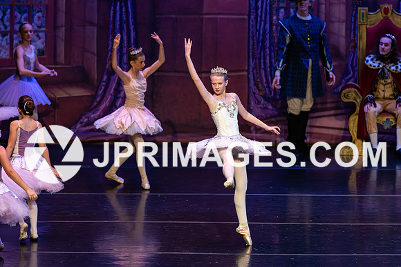 Sleeping Beauty426