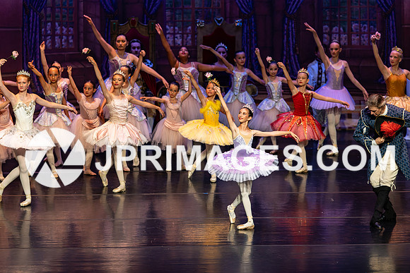 Sleeping Beauty652