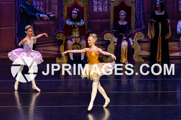 Sleeping Beauty324