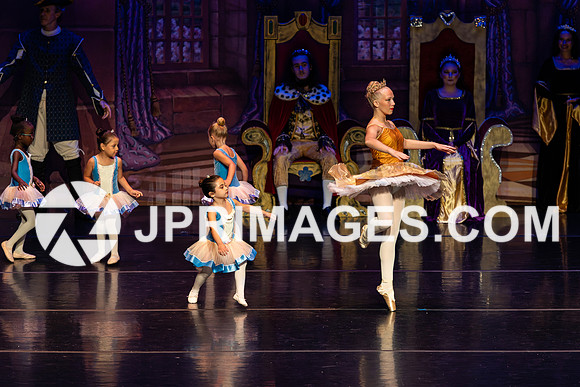 Sleeping Beauty183