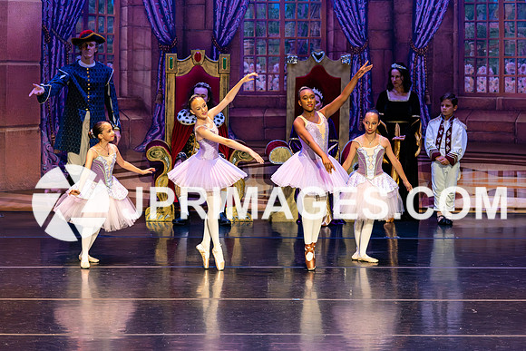 Sleeping Beauty1492