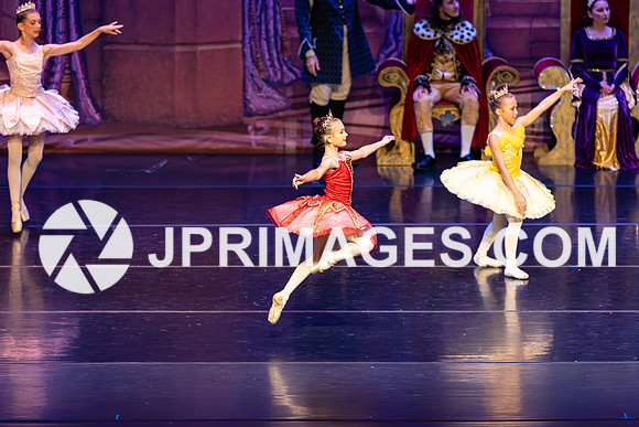 Sleeping Beauty394