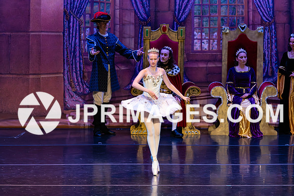 Sleeping Beauty419