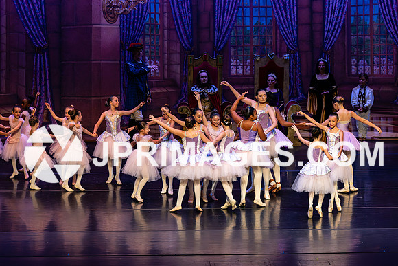Sleeping Beauty259
