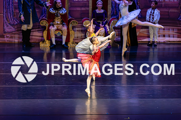 Sleeping Beauty401
