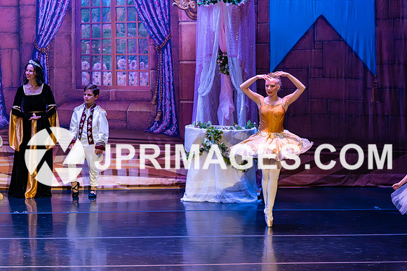 Sleeping Beauty411