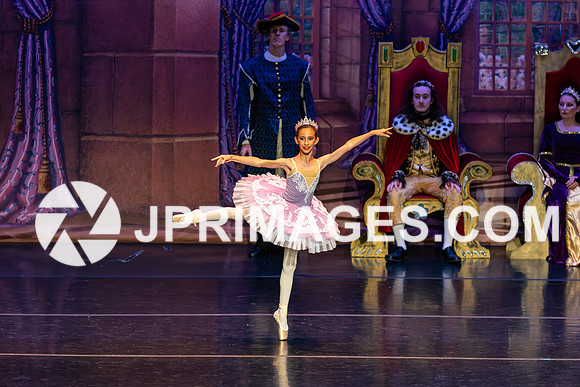 Sleeping Beauty1429