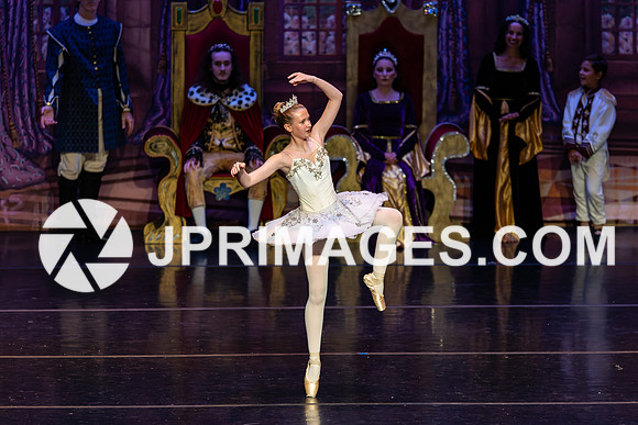Sleeping Beauty1110
