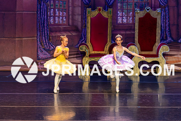 Sleeping Beauty1592