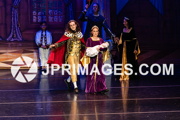 Sleeping Beauty206