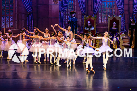 Sleeping Beauty255