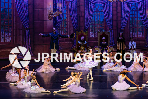 Sleeping Beauty282