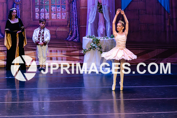 Sleeping Beauty332