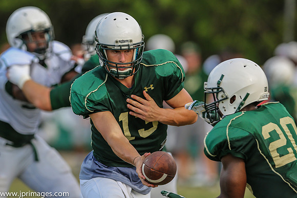 USF Bulls-1