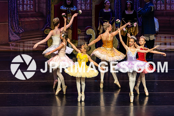 Sleeping Beauty692