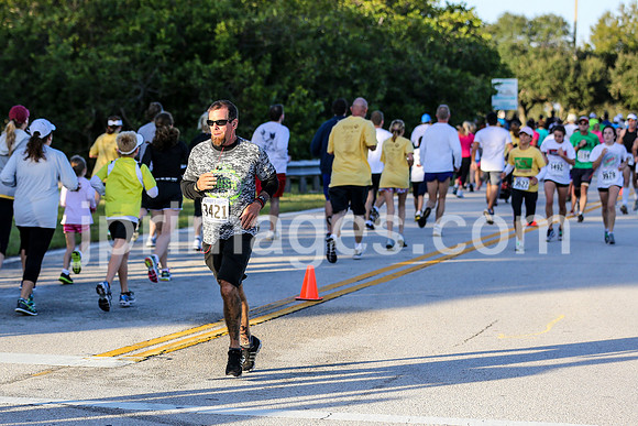 2012 Turkey Trot-293