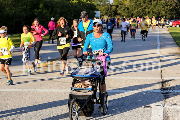 2012 Turkey Trot-461