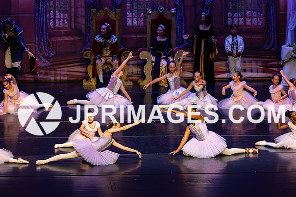 Sleeping Beauty278