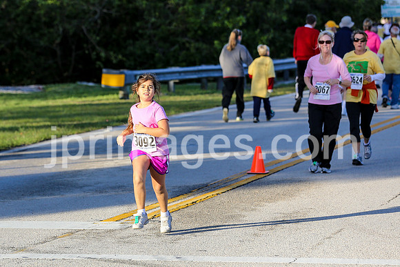 2012 Turkey Trot-542