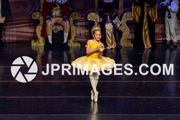 Sleeping Beauty1021
